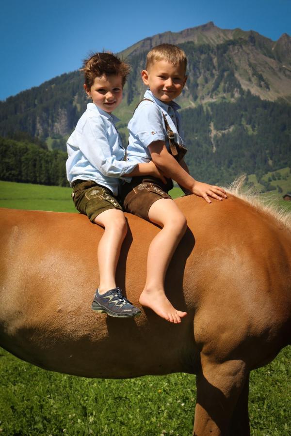 Haus Bergquell Apartment Au (Vorarlberg) ภายนอก รูปภาพ