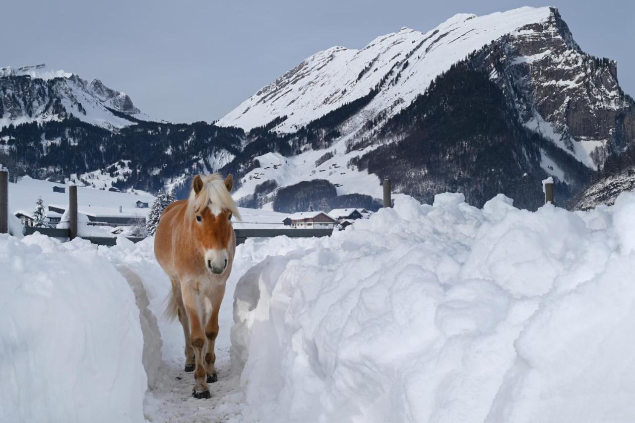 Haus Bergquell Apartment Au (Vorarlberg) ภายนอก รูปภาพ