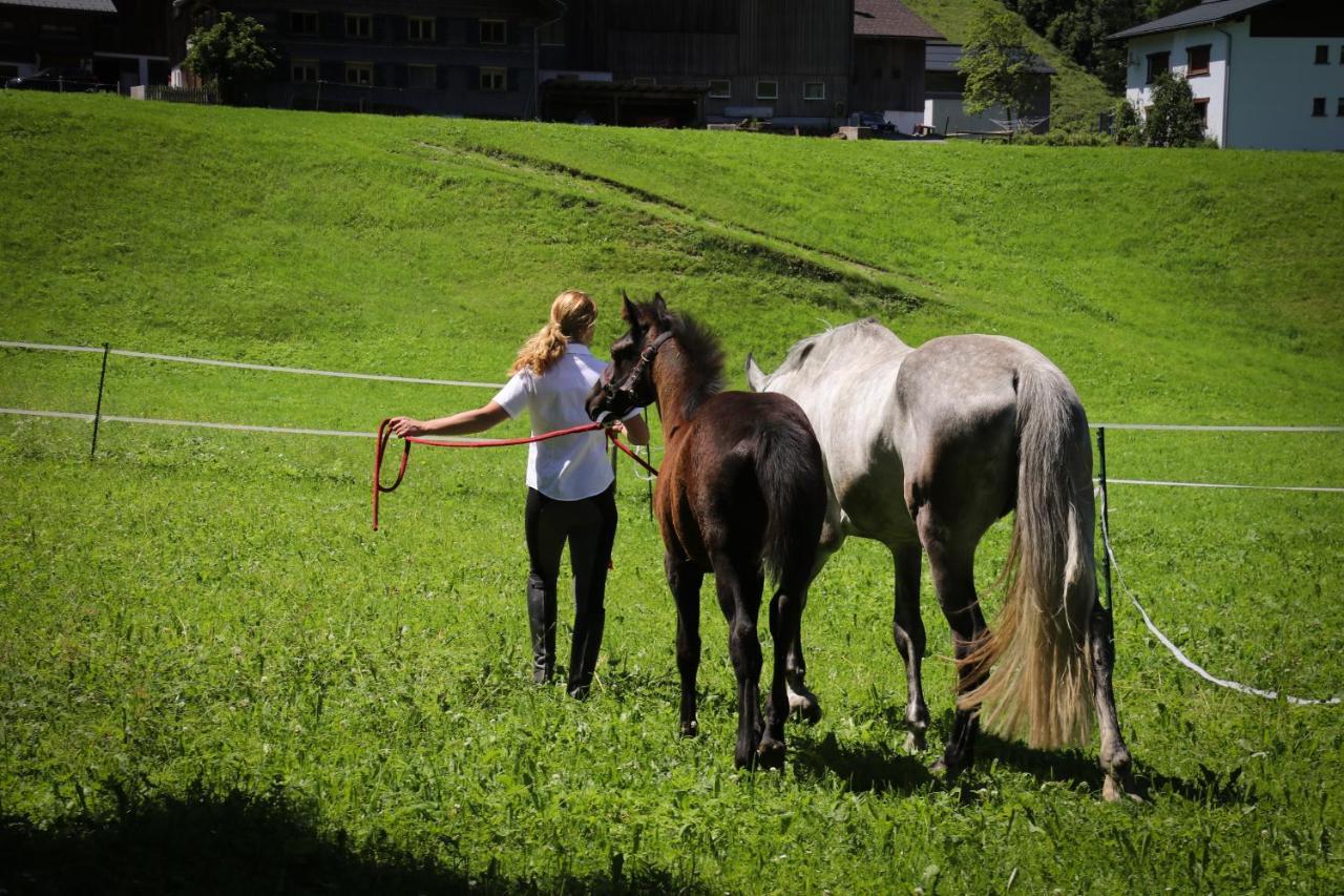 Haus Bergquell Apartment Au (Vorarlberg) ภายนอก รูปภาพ